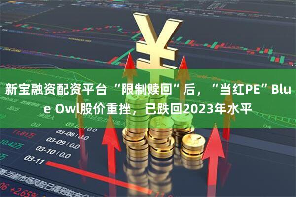 新宝融资配资平台 “限制赎回”后,“当红PE”Blue Owl股价重挫,已跌回2023年水平