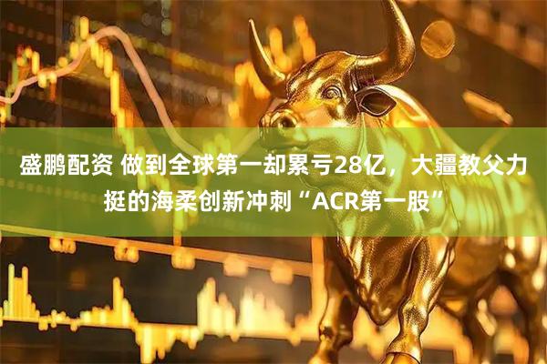 盛鹏配资 做到全球第一却累亏28亿，大疆教父力挺的海柔创新冲刺“ACR第一股”